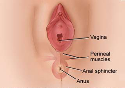 How many holes does a virgin woman have?   quora